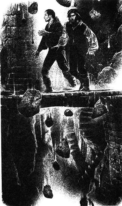 Иллюстрация к книге — Соратницы [s002.jpg]