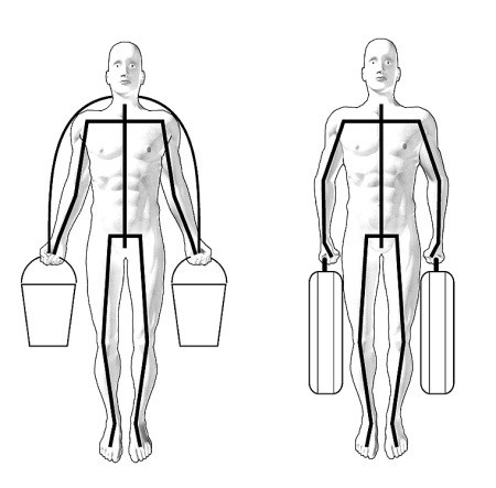 Иллюстрация к книге — Практический курс здоровья для вашего позвоночника [i_030.jpg]