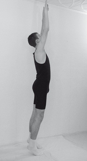 Иллюстрация к книге — Практический курс здоровья для вашего позвоночника [i_079.jpg]