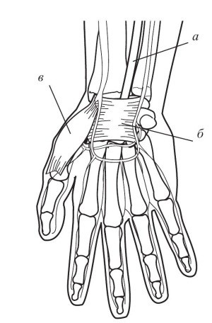 Иллюстрация к книге — Практический курс здоровья для вашего позвоночника [i_134.jpg]