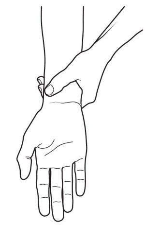 Иллюстрация к книге — Практический курс здоровья для вашего позвоночника [i_136.jpg]