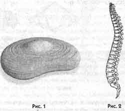 Иллюстрация к книге — Победить боль в спине [i_001.jpg]