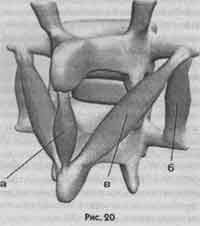 Иллюстрация к книге — Победить боль в спине [i_013.jpg]
