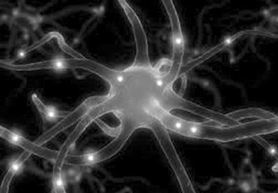 Иллюстрация к книге — Исцеление воспоминанием [i_017.jpg]