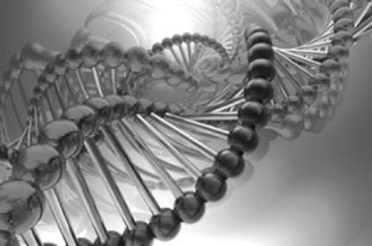 Иллюстрация к книге — Исцеление воспоминанием [i_019.jpg]