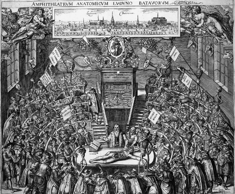 Иллюстрация к книге — Глаза Рембрандта [i_147.jpg]