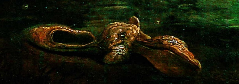 Иллюстрация к книге — Глаза Рембрандта [i_181.jpg]