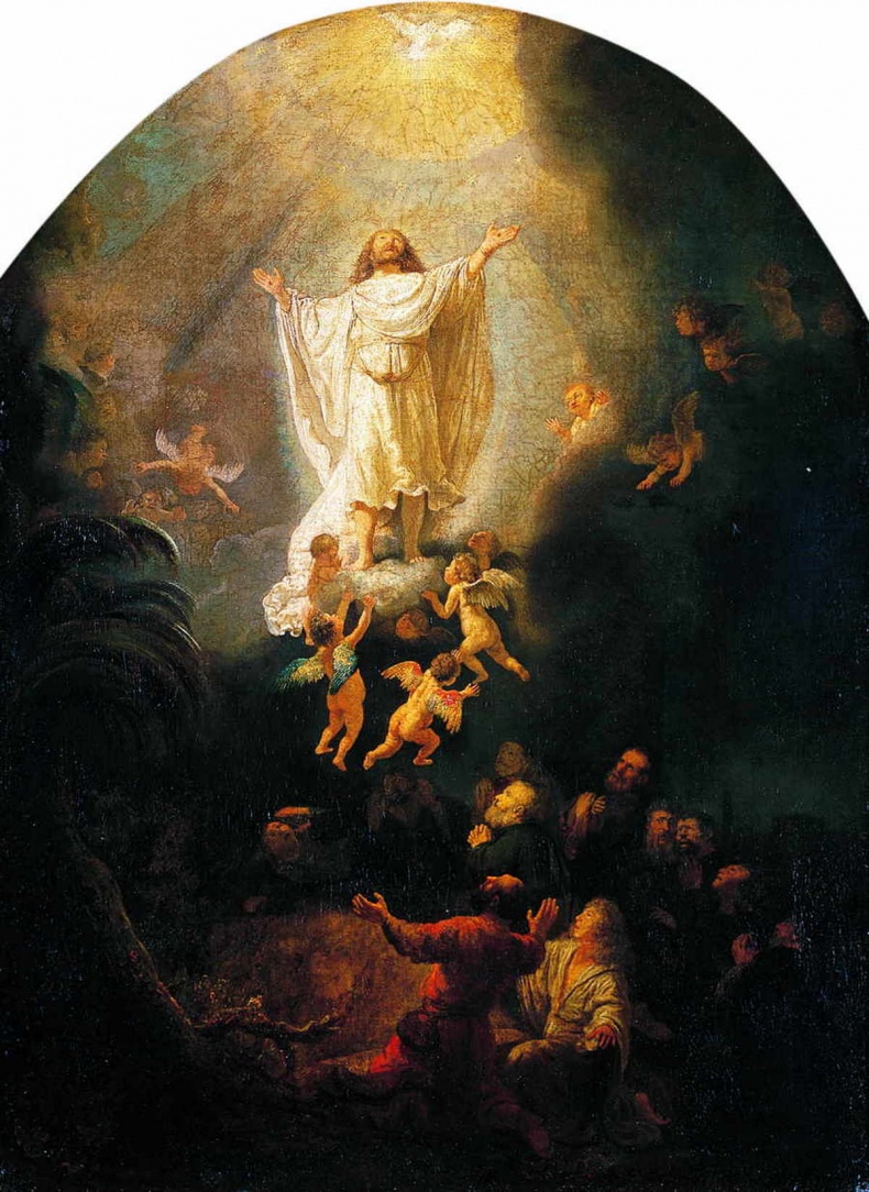 Иллюстрация к книге — Глаза Рембрандта [i_215.jpg]