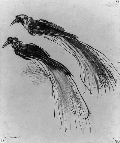 Иллюстрация к книге — Глаза Рембрандта [i_225.jpg]