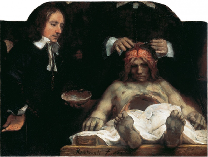 Иллюстрация к книге — Глаза Рембрандта [i_323.jpg]