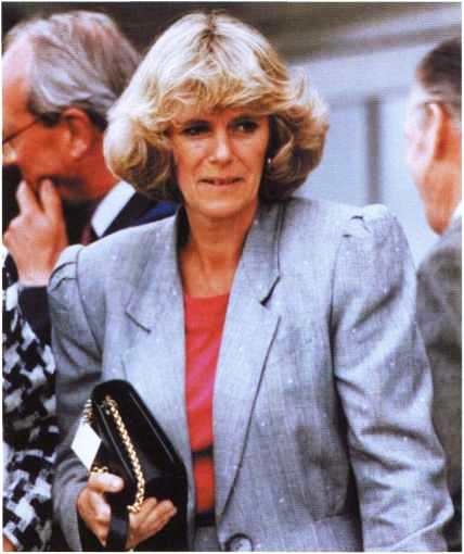 Иллюстрация к книге — Виндзоры [i_091.jpg]