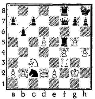 Иллюстрация к книге — Алехин [c_013.jpg]