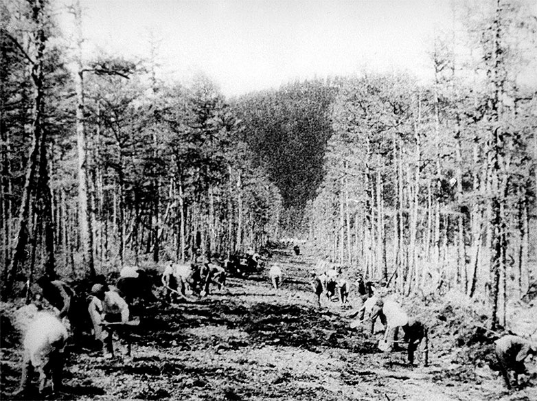 Иллюстрация к книге — Сибирской дальней стороной. Дневник охранника БАМа. 1935-1936 [i_011.jpg]