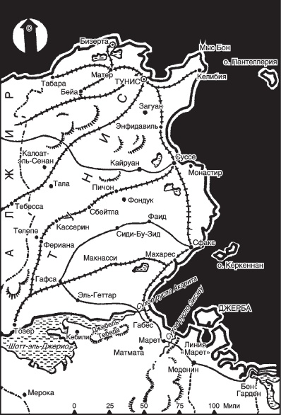 Иллюстрация к книге — С Роммелем в пустыне. Африканский танковый корпус в дни побед и поражений 1941-1942 годов [i_006.jpg]