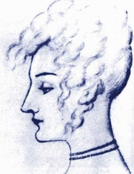 Иллюстрация к книге — Тайный сыск генерала де Витта [ris_17.jpg]