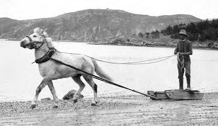 Иллюстрация к книге — В сердце Антарктики [i_016.jpg]