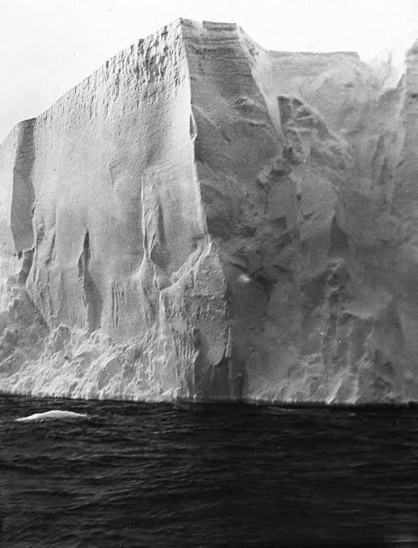 Иллюстрация к книге — В сердце Антарктики [i_030.jpg]