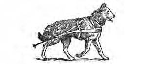 Иллюстрация к книге — В сердце Антарктики [i_044.jpg]