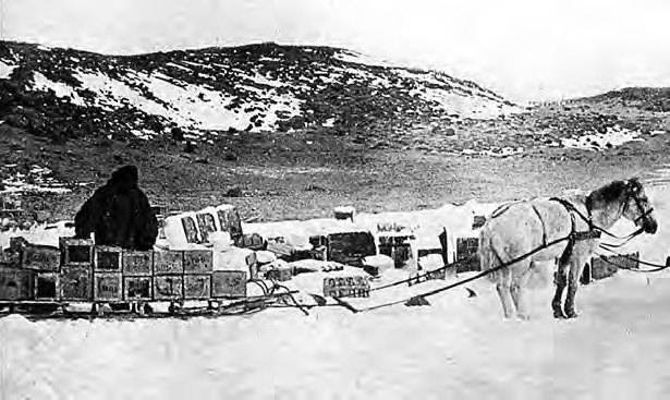 Иллюстрация к книге — В сердце Антарктики [i_046.jpg]