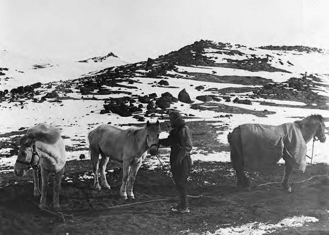 Иллюстрация к книге — В сердце Антарктики [i_066.jpg]