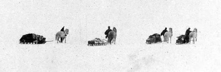 Иллюстрация к книге — В сердце Антарктики [i_091.jpg]