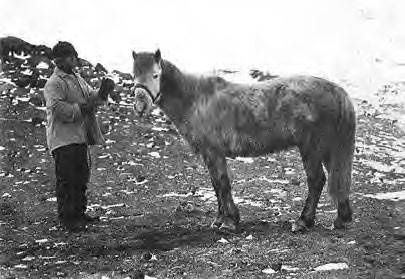 Иллюстрация к книге — В сердце Антарктики [i_096.jpg]