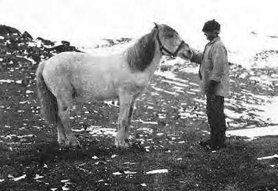 Иллюстрация к книге — В сердце Антарктики [i_097.jpg]