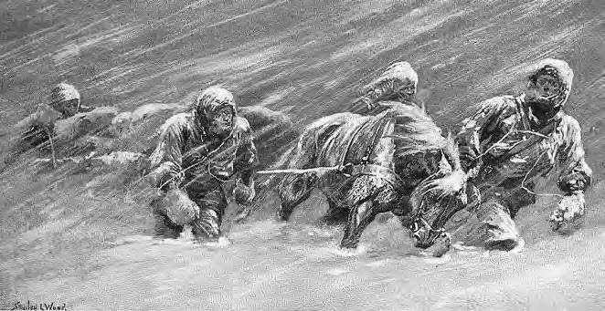 Иллюстрация к книге — В сердце Антарктики [i_099.jpg]