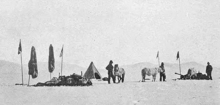 Иллюстрация к книге — В сердце Антарктики [i_100.jpg]