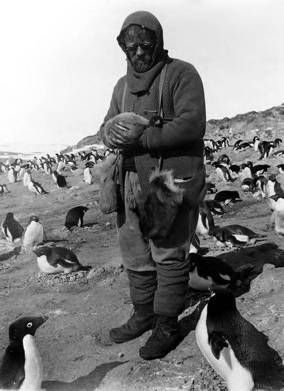 Иллюстрация к книге — В сердце Антарктики [i_106.jpg]