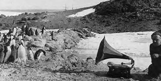 Иллюстрация к книге — В сердце Антарктики [i_107.jpg]