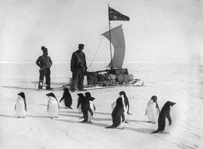 Иллюстрация к книге — В сердце Антарктики [i_130.jpg]