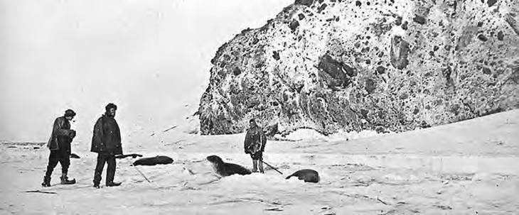 Иллюстрация к книге — В сердце Антарктики [i_134.jpg]