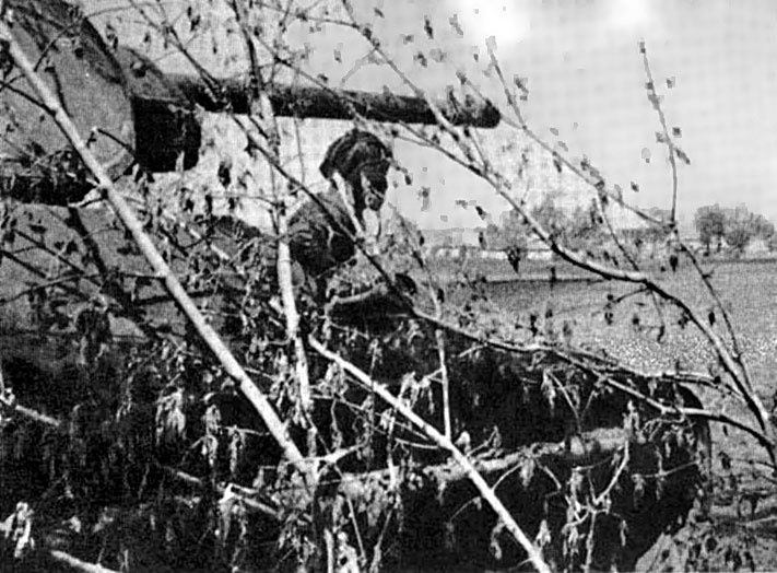 Иллюстрация к книге — Танковая гвардия в бою [autogen_ebook_id12.jpg]