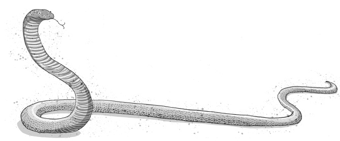 Иллюстрация к книге — Загадочные ямы [i_066.jpg]