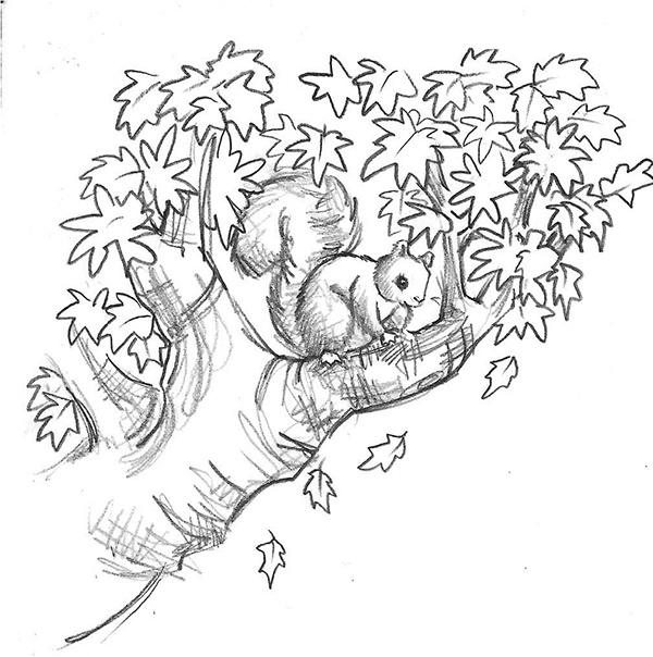 Иллюстрация к книге — Щенок Эви, или Жасминовый сюрприз [i_003.jpg]