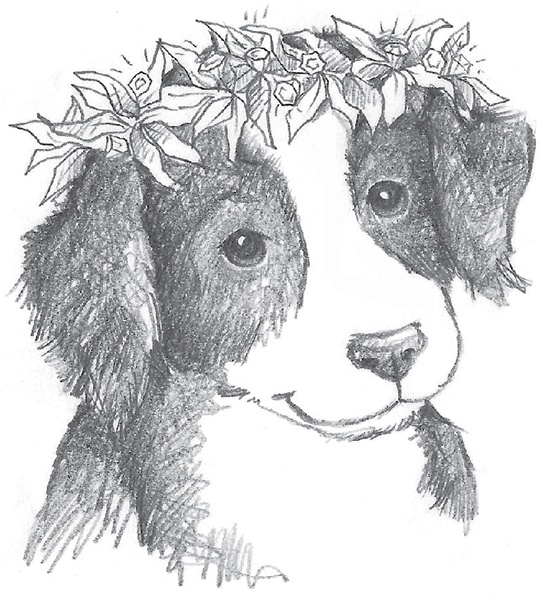 Иллюстрация к книге — Щенок Эви, или Жасминовый сюрприз [i_036.jpg]