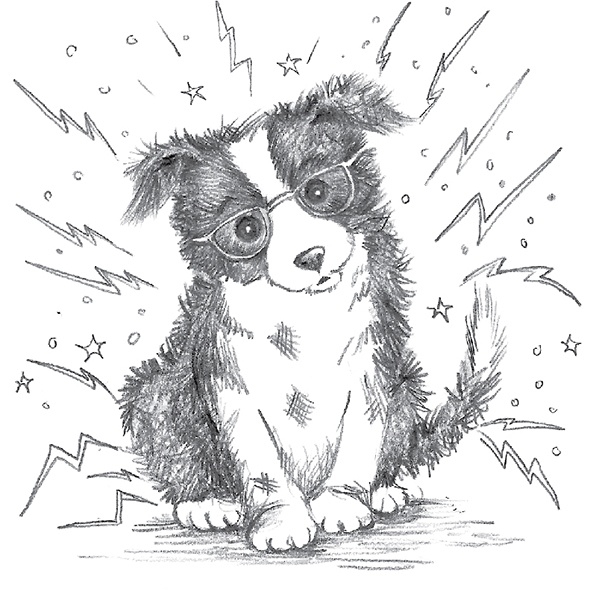 Иллюстрация к книге — Щенок Эви, или Жасминовый сюрприз [i_039.jpg]