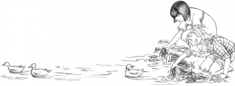 Иллюстрация к книге — Выдра Хлоя, или Серебряная ракушка [i_003.jpg]