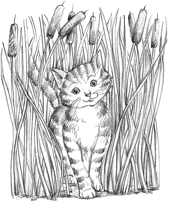 Иллюстрация к книге — Выдра Хлоя, или Серебряная ракушка [i_004.jpg]