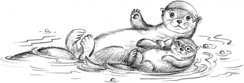 Иллюстрация к книге — Выдра Хлоя, или Серебряная ракушка [i_017.jpg]