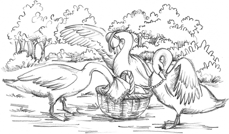 Иллюстрация к книге — Выдра Хлоя, или Серебряная ракушка [i_019.jpg]