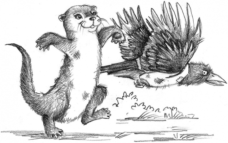 Иллюстрация к книге — Выдра Хлоя, или Серебряная ракушка [i_034.jpg]