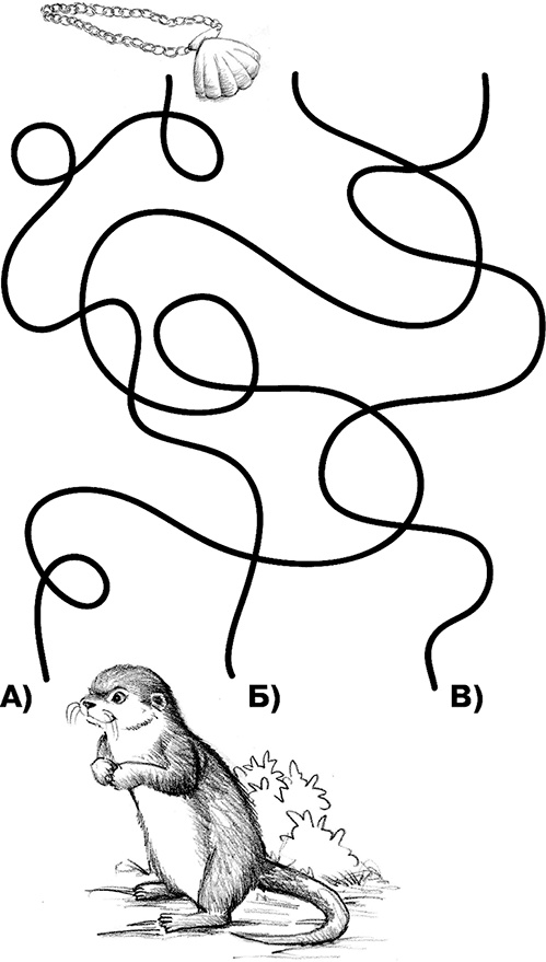 Иллюстрация к книге — Выдра Хлоя, или Серебряная ракушка [i_037.jpg]