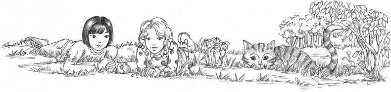 Иллюстрация к книге — Выдра Хлоя, или Серебряная ракушка [i_038.jpg]