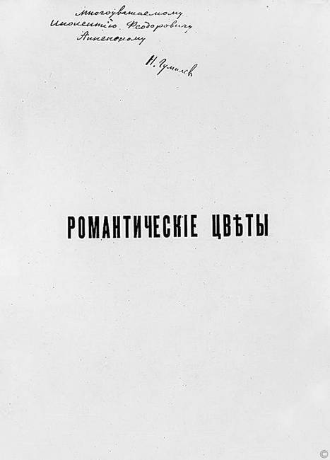 Иллюстрация к книге — Зодчий. Жизнь Николая Гумилева [i_036.jpg]