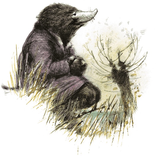 Иллюстрация к книге — Ветер в ивах [i_005.jpg]