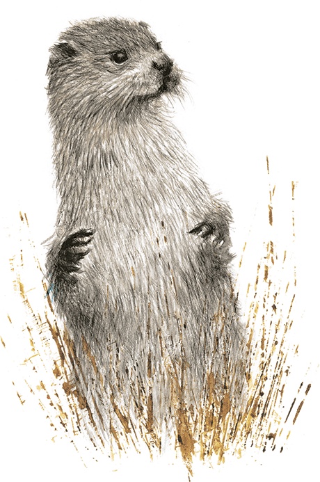 Иллюстрация к книге — Ветер в ивах [i_067.jpg]