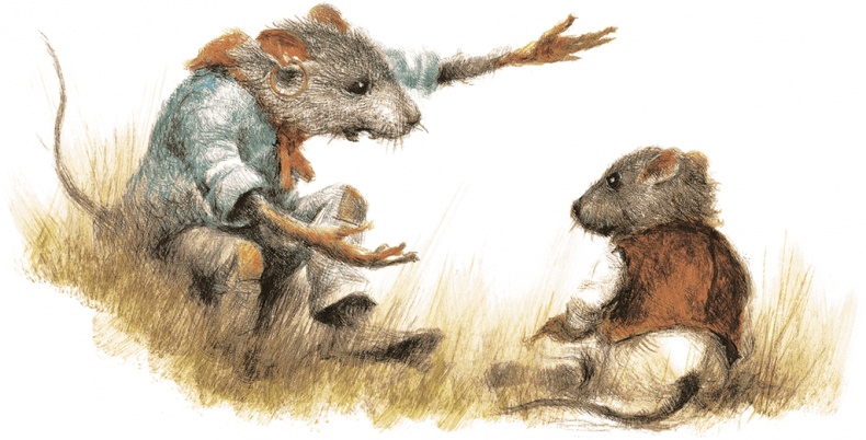 Иллюстрация к книге — Ветер в ивах [i_090.jpg]