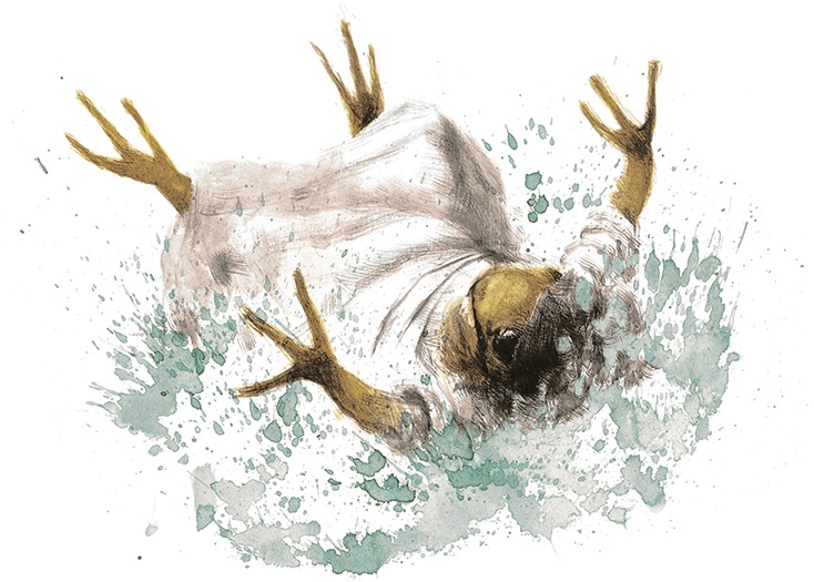 Иллюстрация к книге — Ветер в ивах [i_099.jpg]